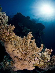 "Pioneers at the Wreck"

Destructions of or foreign obj... by Henry Jager 